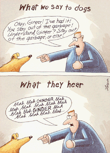 gary larson on keyword density