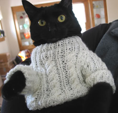 Basement Cat Sweater
