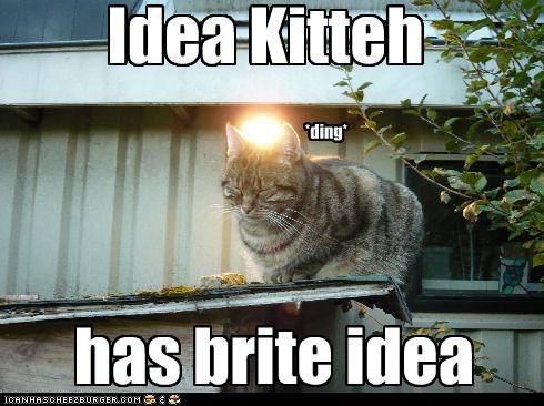 LOLcat Lightbulb