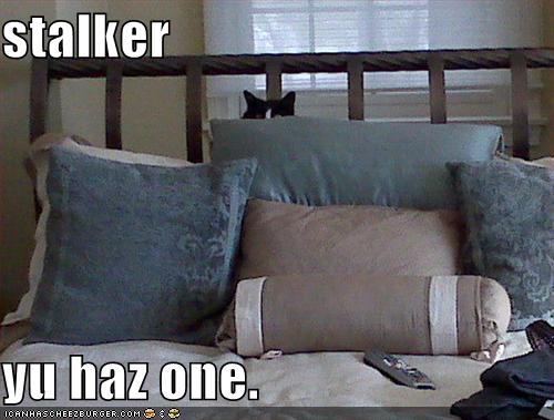 Stalker LOLcat