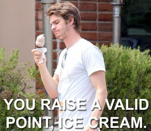 You Raise a Valid Point Ice Cream