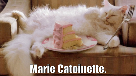 Cat Eating Cake