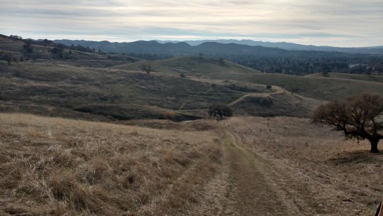 A view from the top