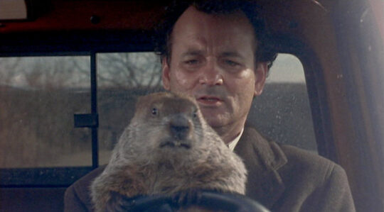 Groundhog Day Phil Driving